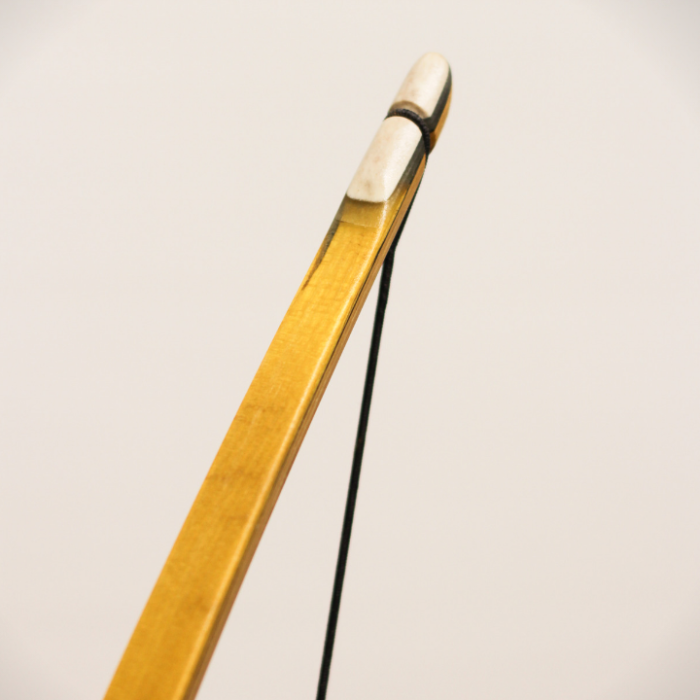b9662ddd65c0f2650a65813a510a8c56.png