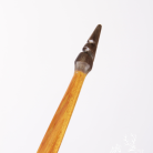 14f86cd5c1f4d354a78d2581662542d9.png