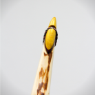 3ae6f5597b85e5ae4121d40410fec698.png