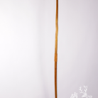 49c4d789cf0f7207fd3150c0b705858d.png