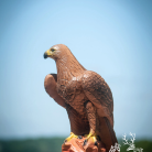 8715f90333deb73fe1f374ccda87f566.png