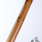 b5ede2137812b8563f48ce7bcbdf47f2.png