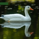 ffea07ff0b441d8a714f69dc71e2a45f.png